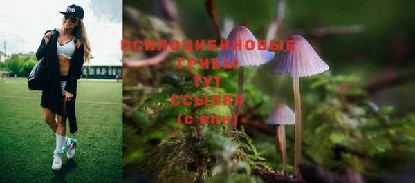 винт Михайлов