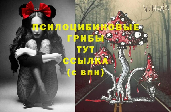 винт Михайлов