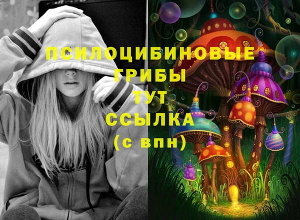 прущий лед Михайловск